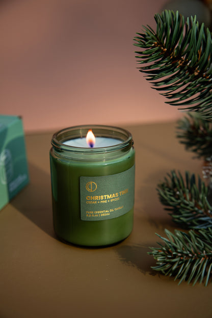 Christmas Tree (Cedar + Pine + Spices) | Green Jar Candle